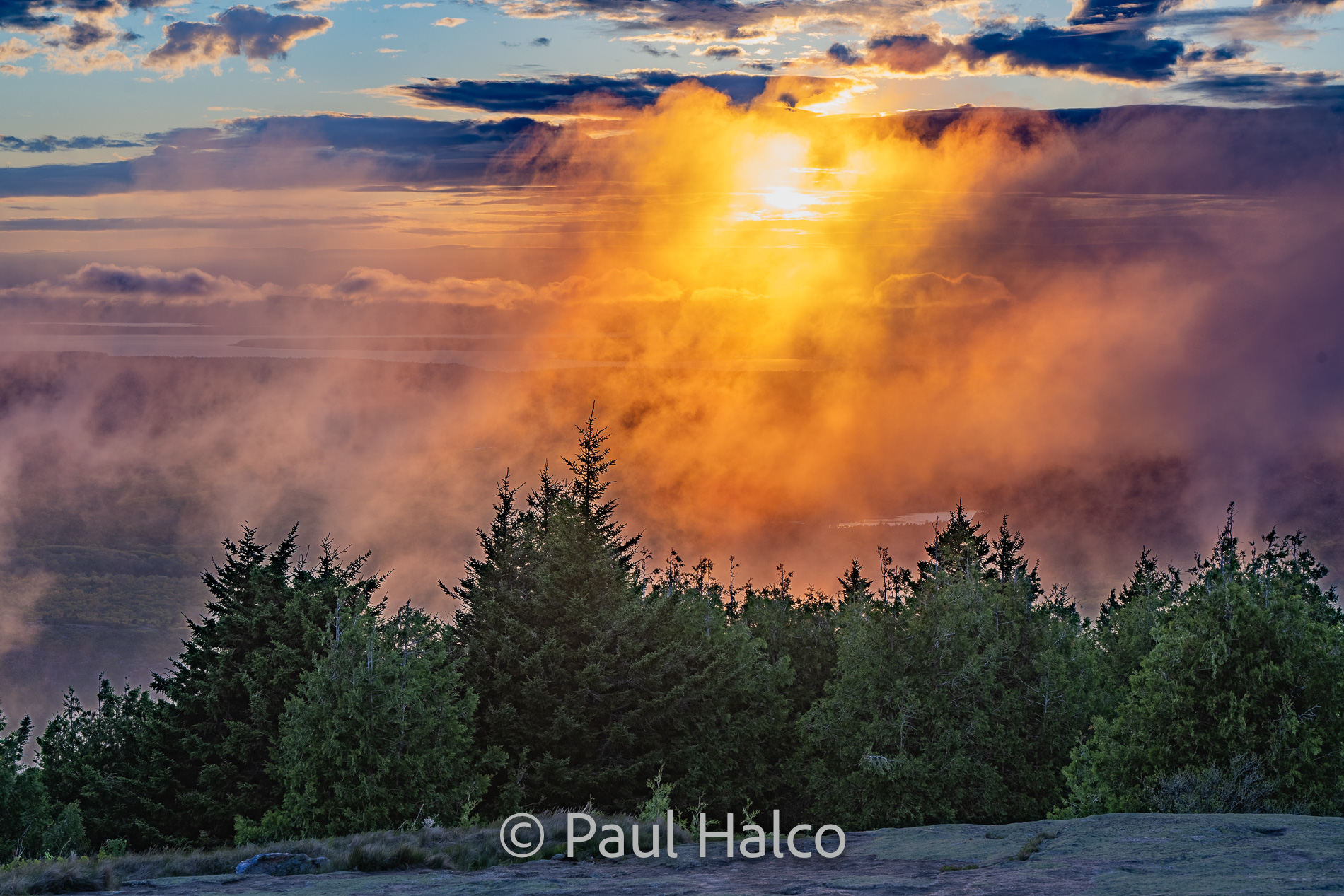 Paul Halco-Acadia NP-15